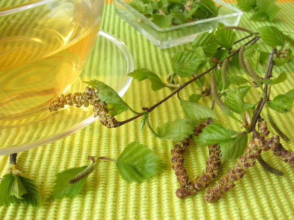Brzozy liście herbaty — Zdjęcie stockowe