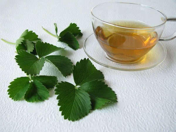 Strawberry-leaves tea — Stock Photo, Image