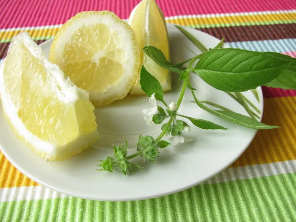Zitrone und Zitronenbasilikum — Stockfoto