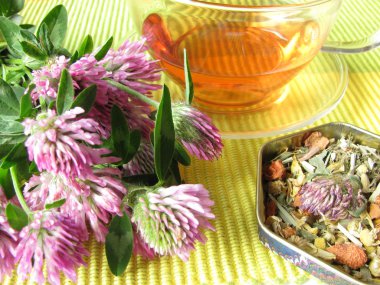 Herb tea with red clover clipart