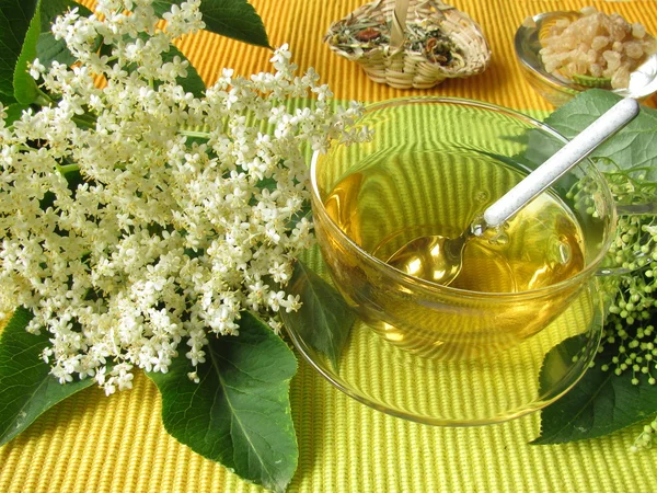 Elderflower tea - Holunderblütentee — Stock Photo, Image