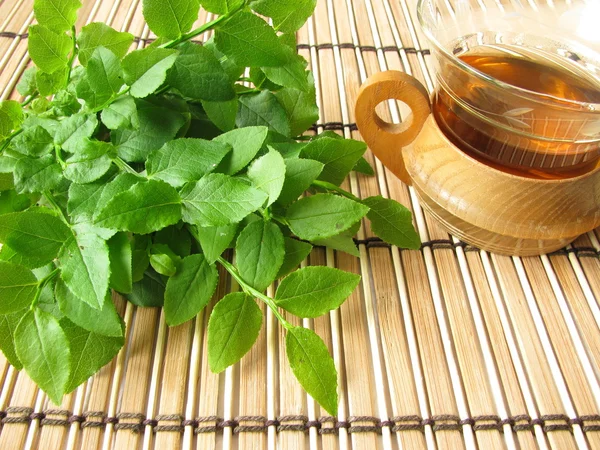 Gyógynövény tea blueberry hagy — Stock Fotó