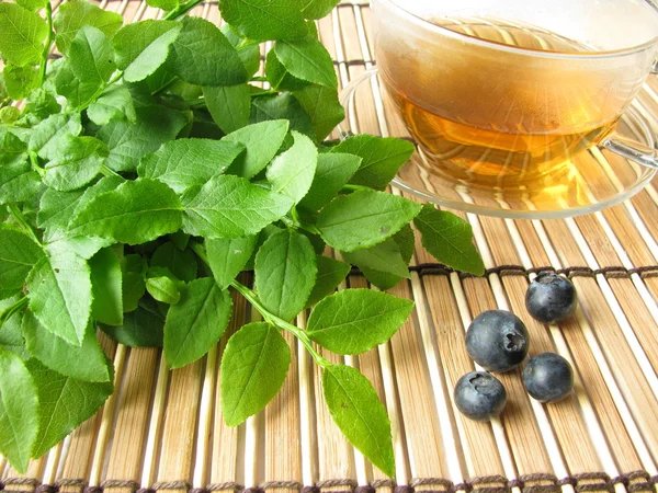 Травяной чай с листьями черники — стоковое фото