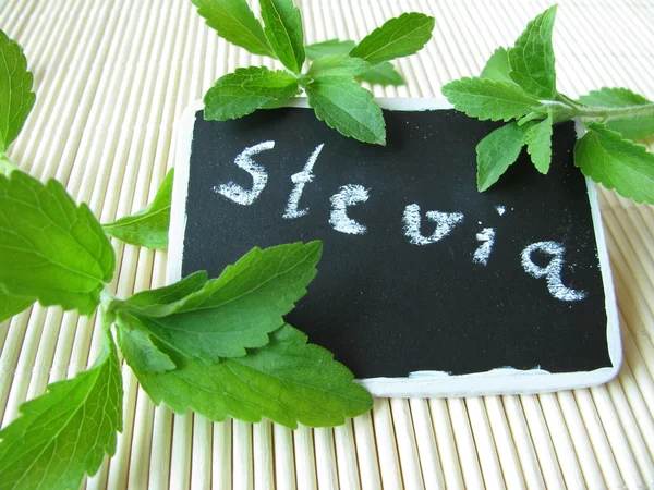 Sweet herb with nameplate — Stock Photo, Image