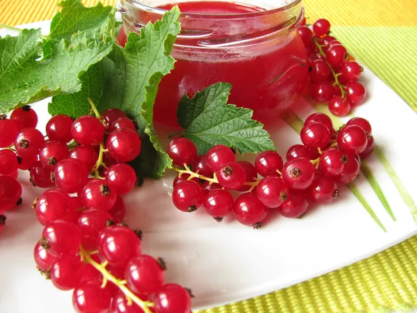 Homemade red currant jelly — Stock Photo, Image