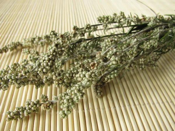 Dried Mugwort, Artemisia vulgaris — Stock Photo, Image