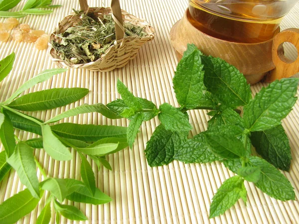 Gyógynövény tea citrom verbéna, marokkói menta — Stock Fotó