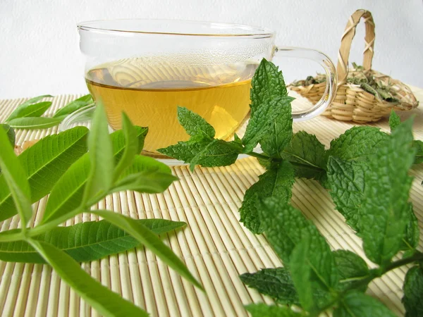 Herbal tea with lemon verbena and moroccan mint — Stock Photo, Image