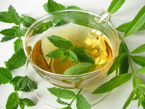 Herbal tea with lemon verbena and moroccan mint — Stock Photo, Image
