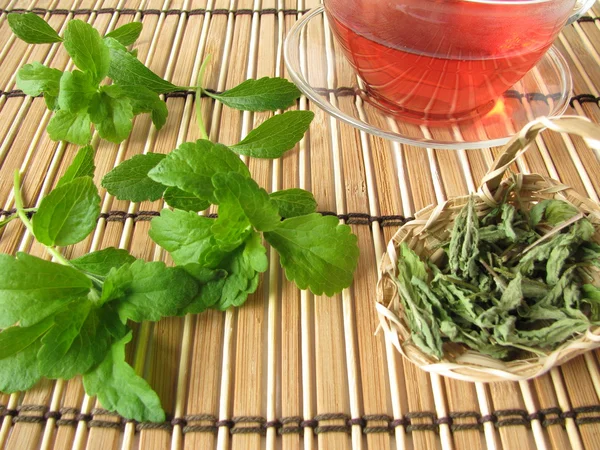 Tee gesüßt mit Stevia — Stockfoto
