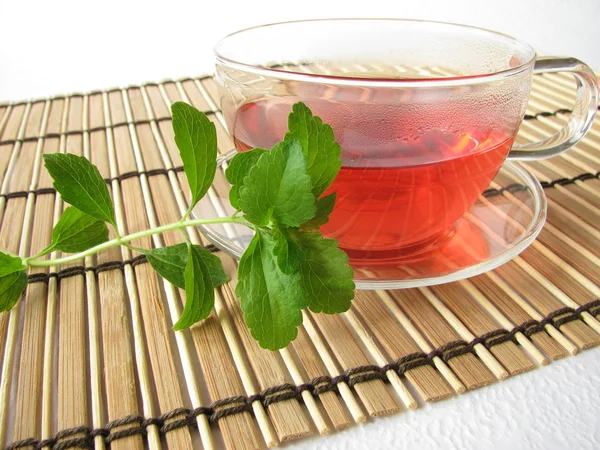 Teh manis dengan Stevia segar — Stok Foto