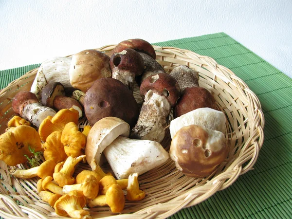 Їстівні гриби в маленькому кошику — стокове фото