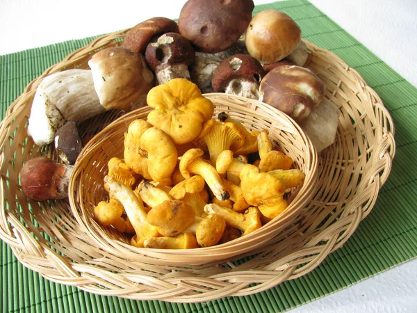 Їстівні гриби в маленькому кошику — стокове фото