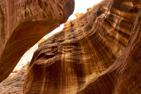 Antico canyon a Petra — Foto Stock