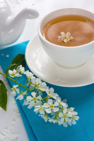 Cup of gerbal tea — Stock Photo, Image