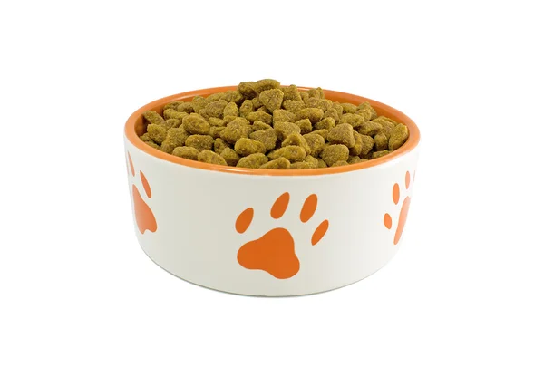 Cão tigela com pet food — Fotografia de Stock