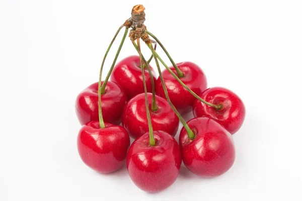 Cherry med stjälk — Stockfoto