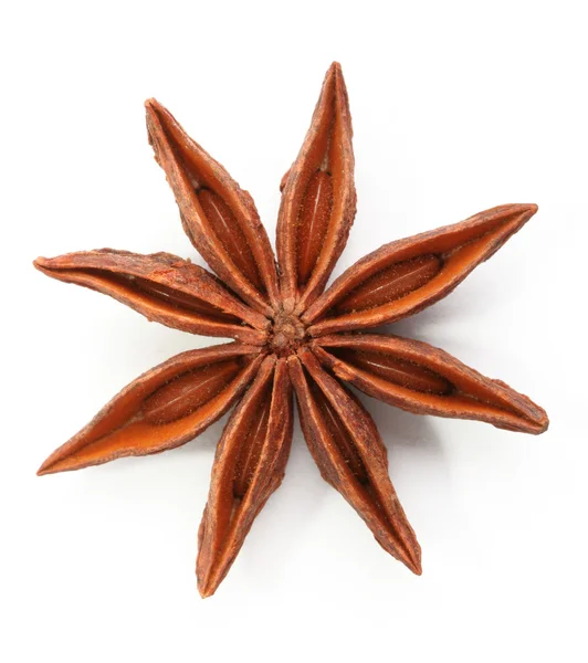 stock image Star anise