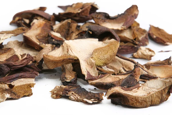 Dried wild mushrooms — Stock Photo, Image