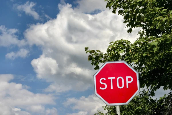 曇り空に対して一時停止の標識 — ストック写真