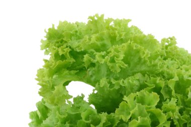 Crispy lettuce on white clipart