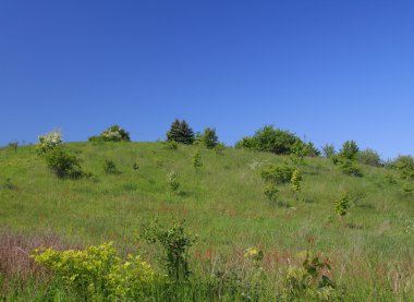 Meadow on a hill clipart