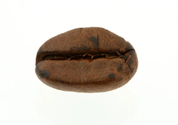 Καφέ bean - πραγματική μακροεντολή — Φωτογραφία Αρχείου