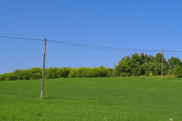 Telephone poles on a hilltop — Stock Photo, Image