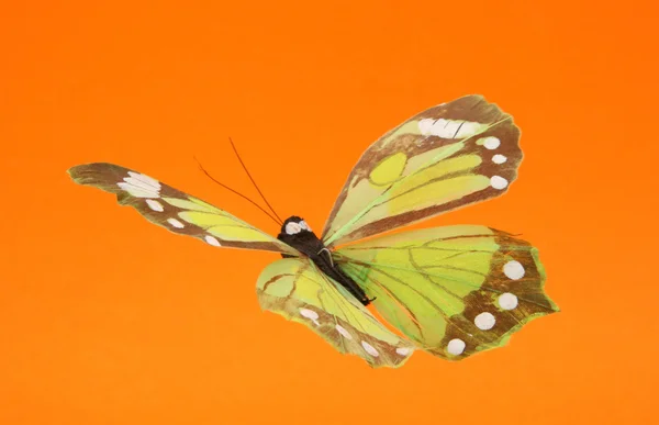 Kunstmatige vlinder tijdens de vlucht — Stockfoto