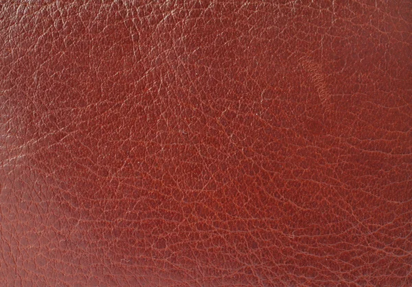 Texture cuir — Photo