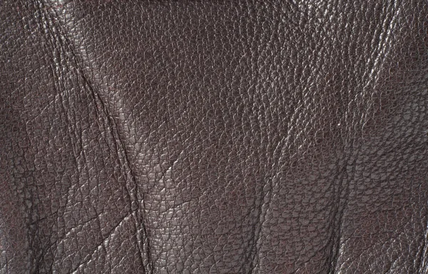 Brown leather — Stock Photo © yoka66 #2246682