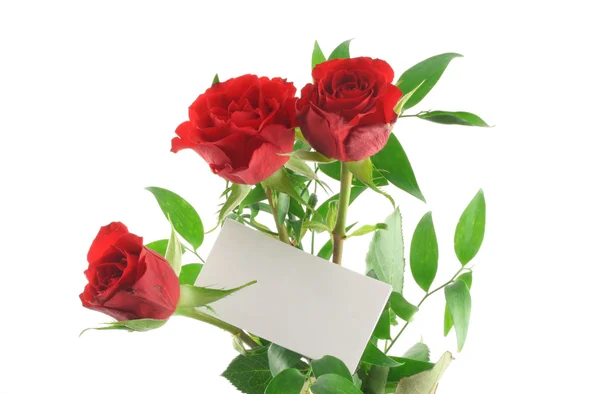 Rosas con nota de amor en blanco — Foto de Stock