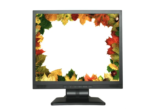 Lcd with leaf frame — Stock Photo, Image