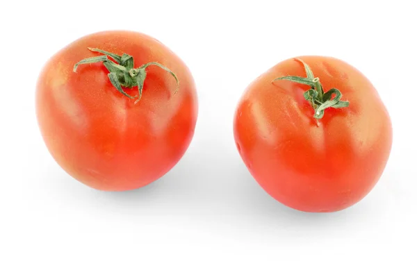 白の 2 つの新鮮なトマト — ストック写真