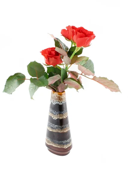 Rosas en jarrón — Foto de Stock