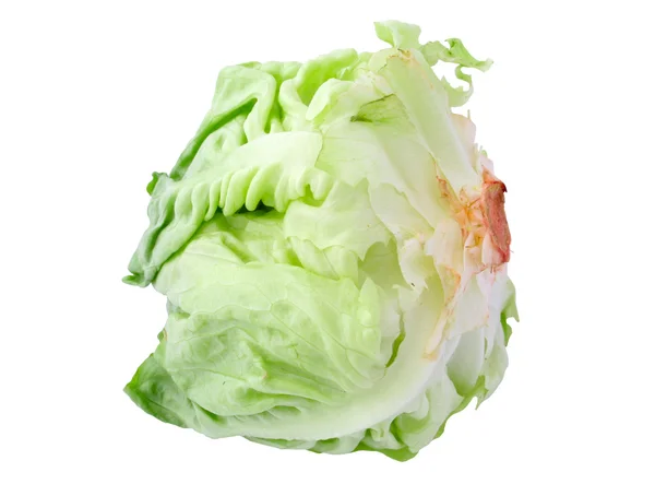 Cabbage — Stock Photo, Image