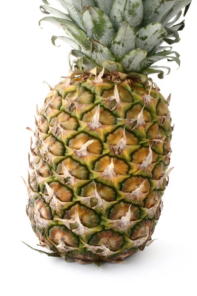 Pineapple Stock Picture