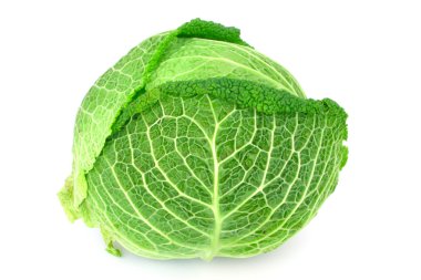 Cabbage - isolated clipart