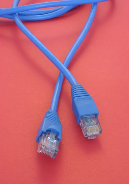 Geniş bant kablo bağlantısı rj-45 — Stok fotoğraf