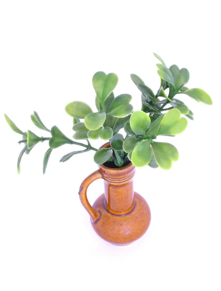 Artificial plant — Stock Photo, Image