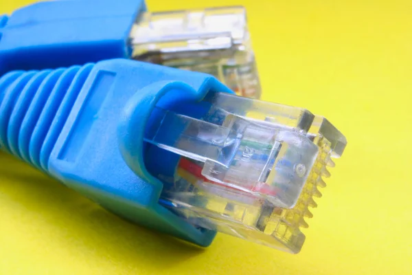 Kabel broadband RJ-45 — Stok Foto