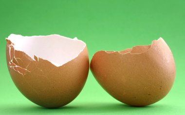 Eggshells clipart