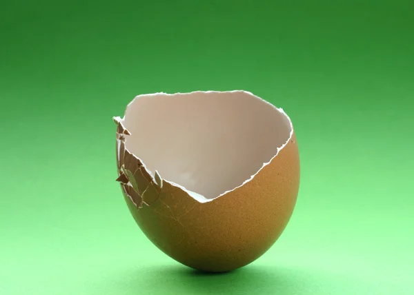 Κέλυφος αυγού — Φωτογραφία Αρχείου