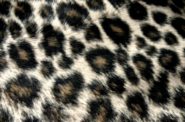 stock image Panther pattern