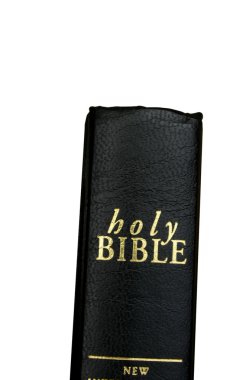 Bible clipart