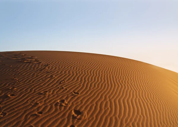 Pôr do sol sobre o deserto do Saara — Fotografia de Stock