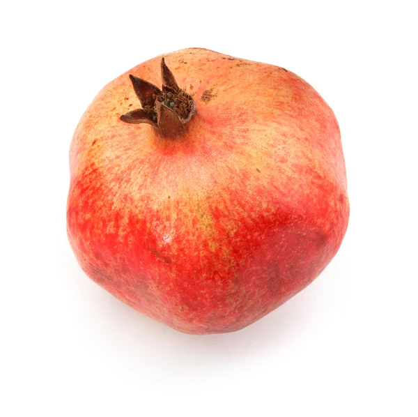 Single ripe pomegranate fruit — Stock Photo, Image