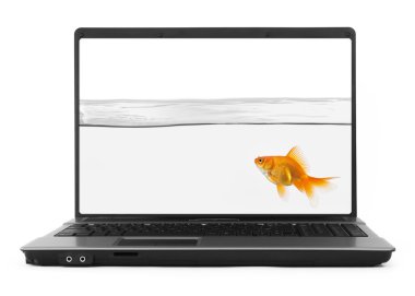 Goldfish inside notebook clipart