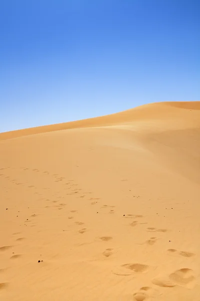 Sand dunes and cloudless blue sky — Stock Photo, Image