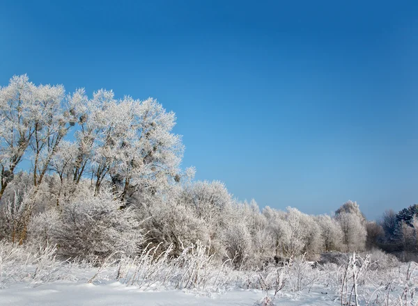 Дикие зимние пейзажи — стоковое фото